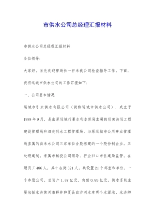 市供水公司总经理汇报材料-