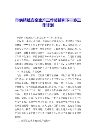 市供销社安全生产工作总结和下一步工作计划