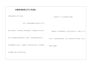 市商务局政务公开工作总结