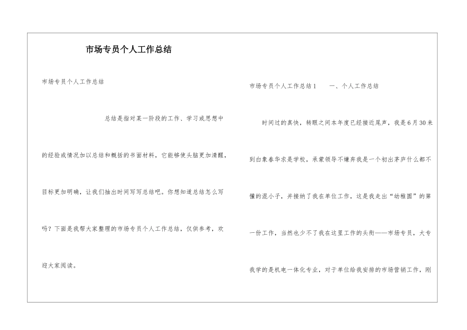市场专员个人工作总结_第1页