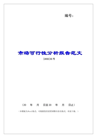 市场可行性分析报告范文