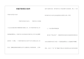 市场开发项目计划书