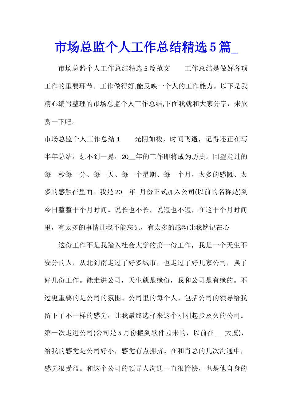 市场总监个人工作总结精选5篇_第1页