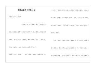 市场总监个人工作计划