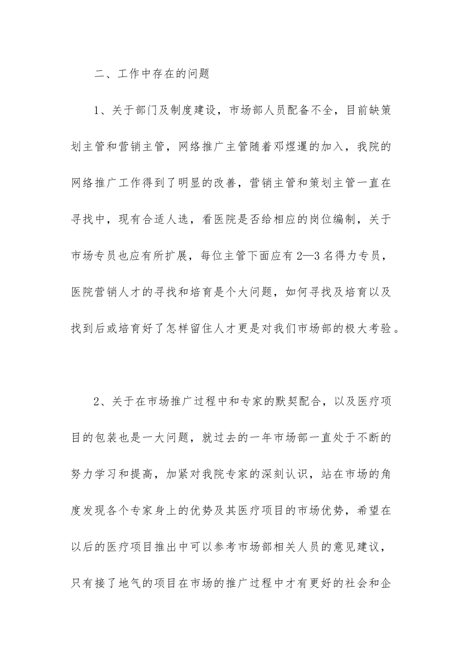 市场总监工作总结_第2页