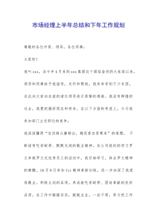 市场经理上半年总结和下年工作规划-