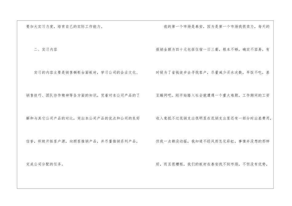 市场营销实习报告_第3页