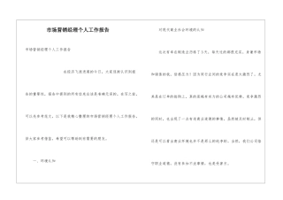 市场营销经理个人工作报告