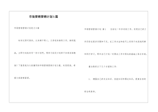 市场营销营销计划5篇
