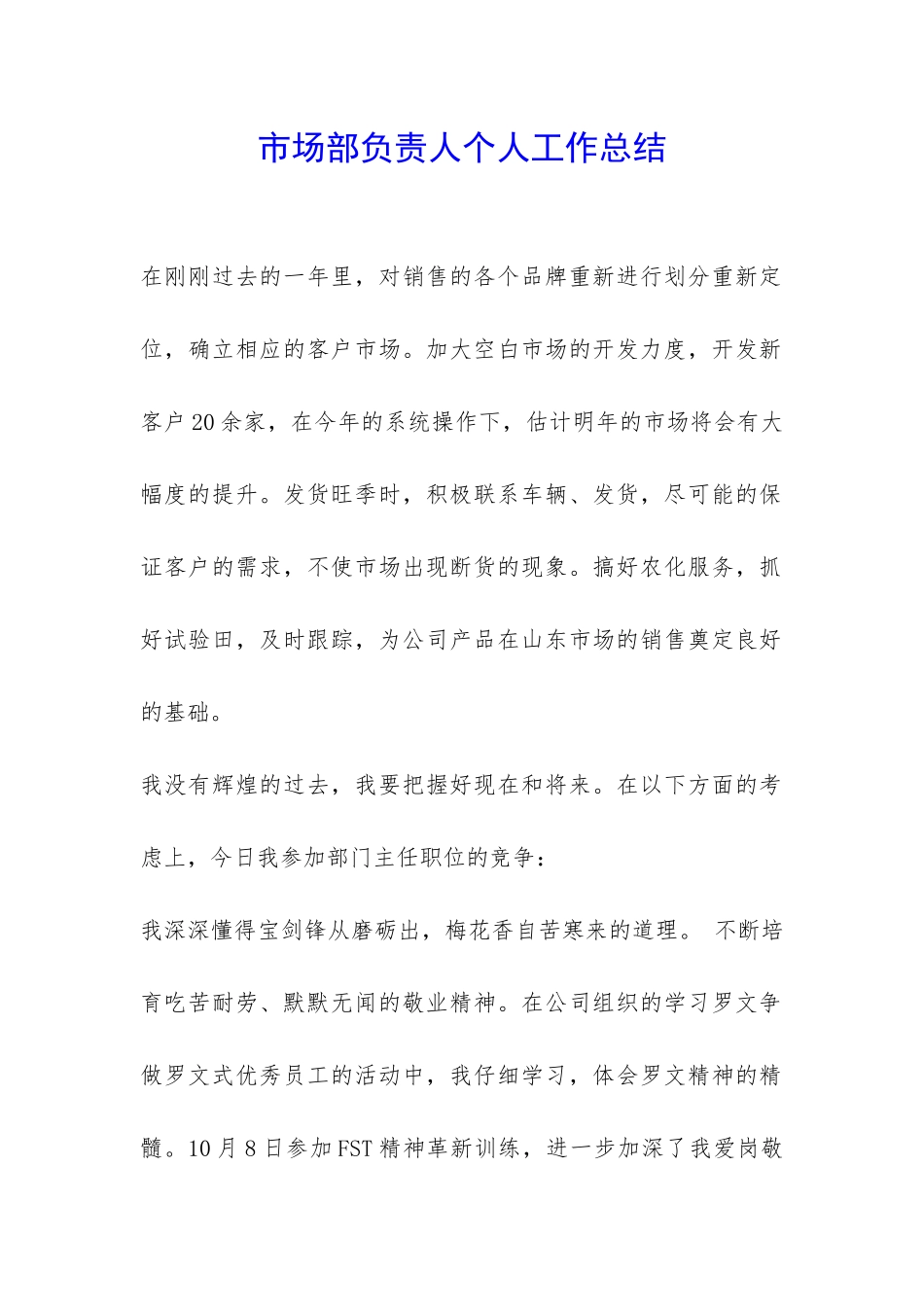 市场部负责人个人工作总结-_第1页