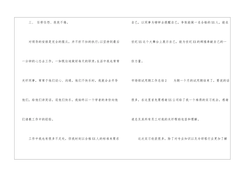 市场部试用期工作总结_第3页