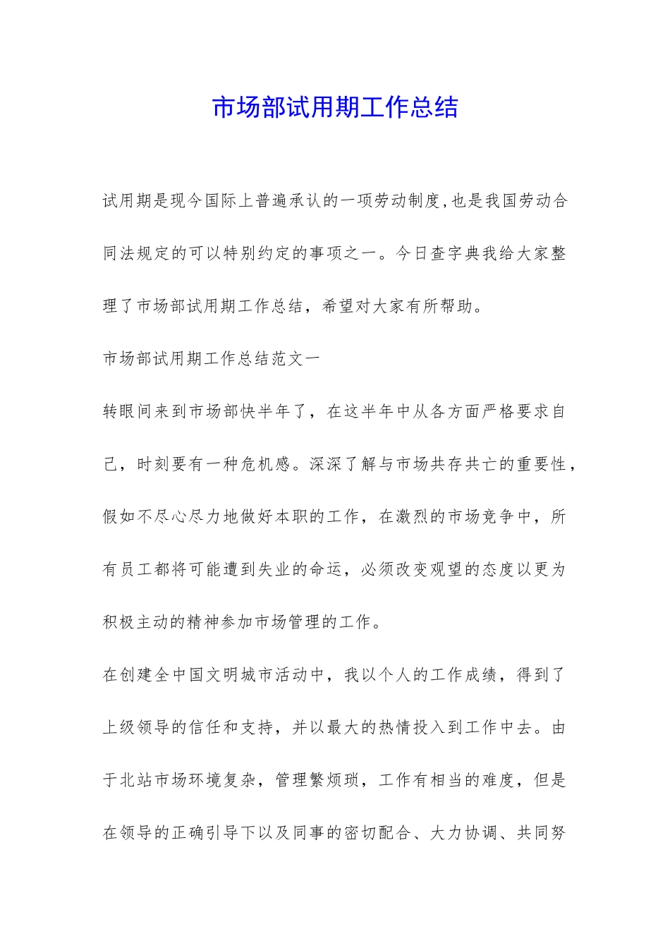 市场部试用期工作总结-_第1页
