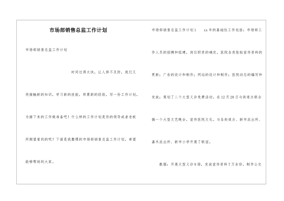 市场部销售总监工作计划_第1页