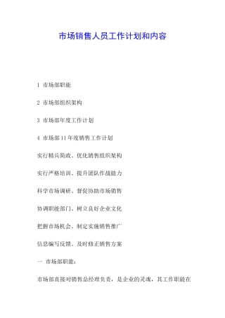 市场销售人员工作计划和内容