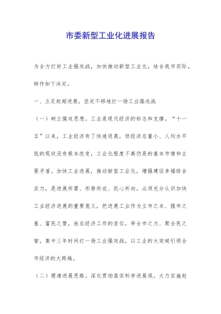 市委新型工业化发展报告-