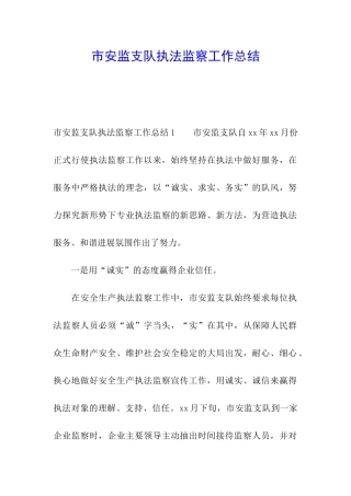 市安监支队执法监察工作总结