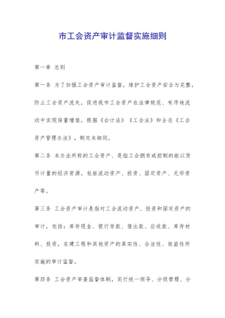 市工会资产审计监督实施细则-