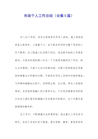 市政个人工作总结