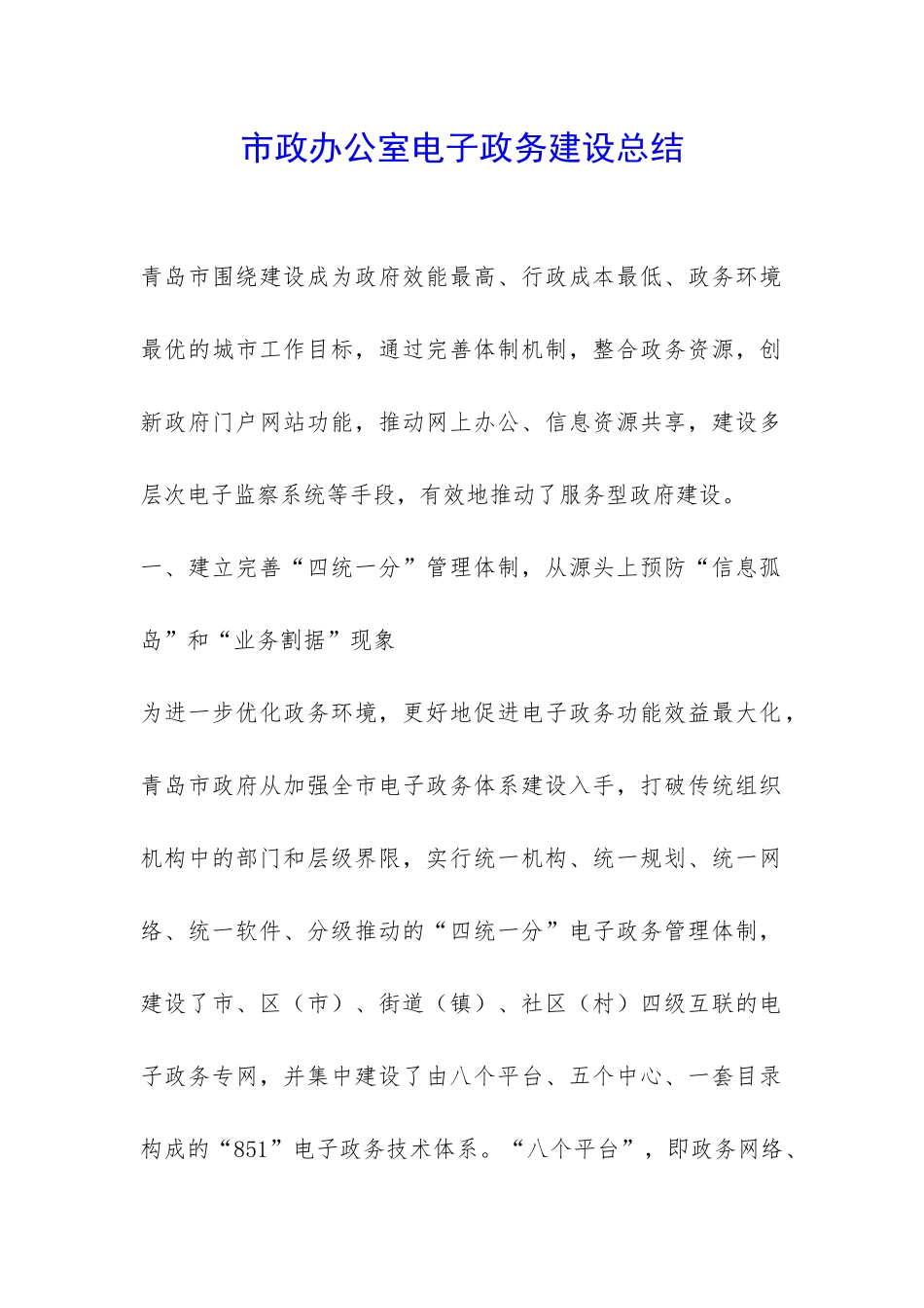市政办公室电子政务建设总结-_第1页