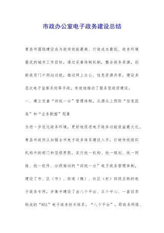 市政办公室电子政务建设总结-