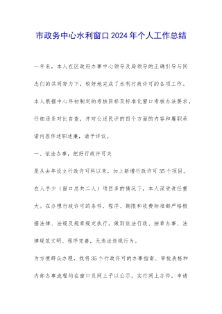 市政务中心水利窗口2024年个人工作总结-