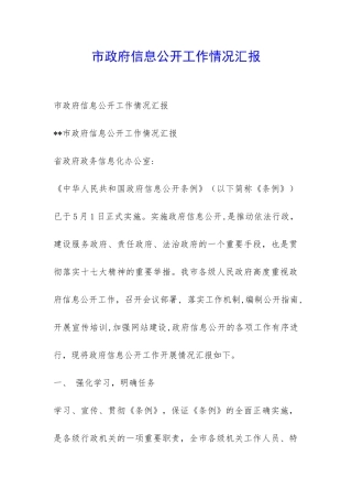 市政府信息公开工作情况汇报-