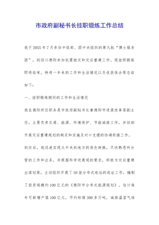 市政府副秘书长挂职锻炼工作总结-
