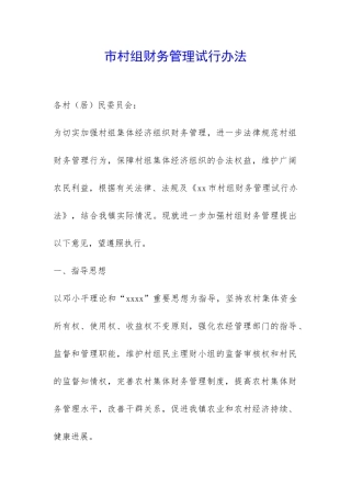 市村组财务管理试行办法-