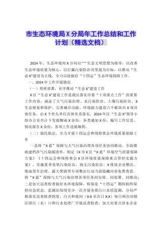 市生态环境局X分局年工作总结和工作计划