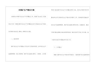 市煤矿生产整治方案