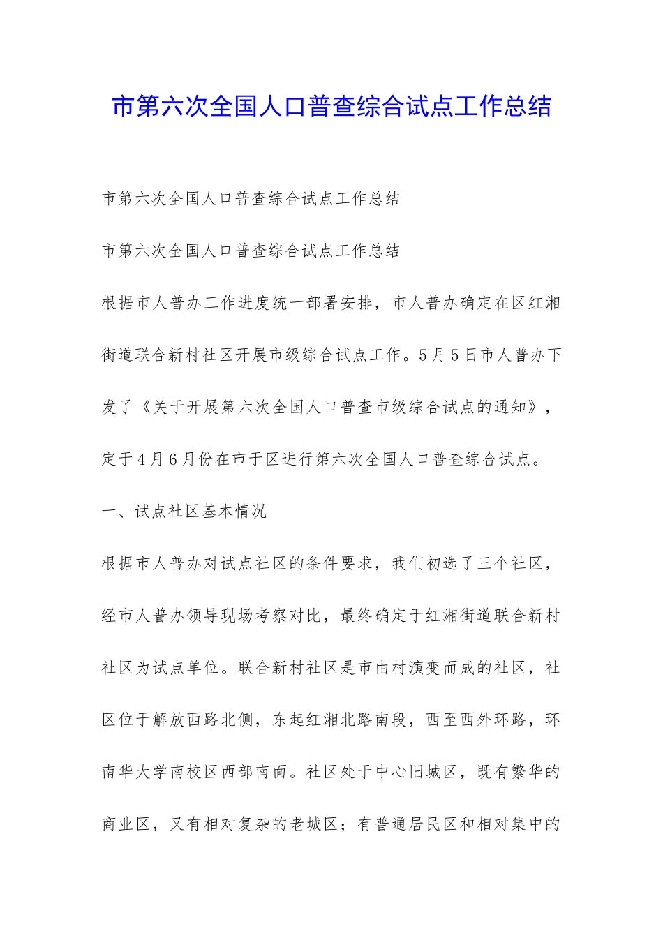 市第六次全国人口普查综合试点工作总结-_第1页