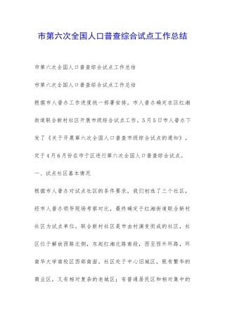 市第六次全国人口普查综合试点工作总结-