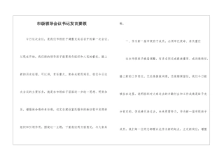 市级领导会议书记发言要领
