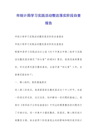 市统计局学习实践活动整改落实阶段自查报告-