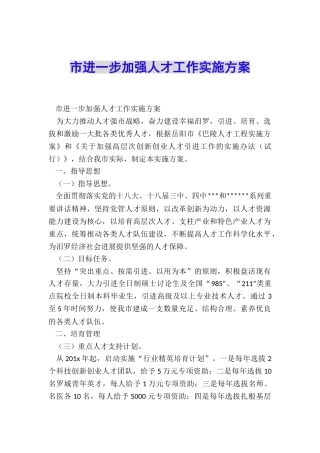 市进一步加强人才工作实施方案
