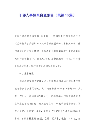 干部人事档案自查报告