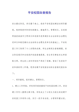 平安校园自查报告-