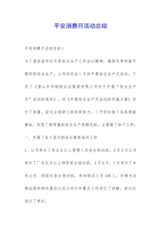 平安消费月活动总结-
