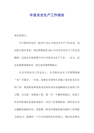 年度安全生产工作报告
