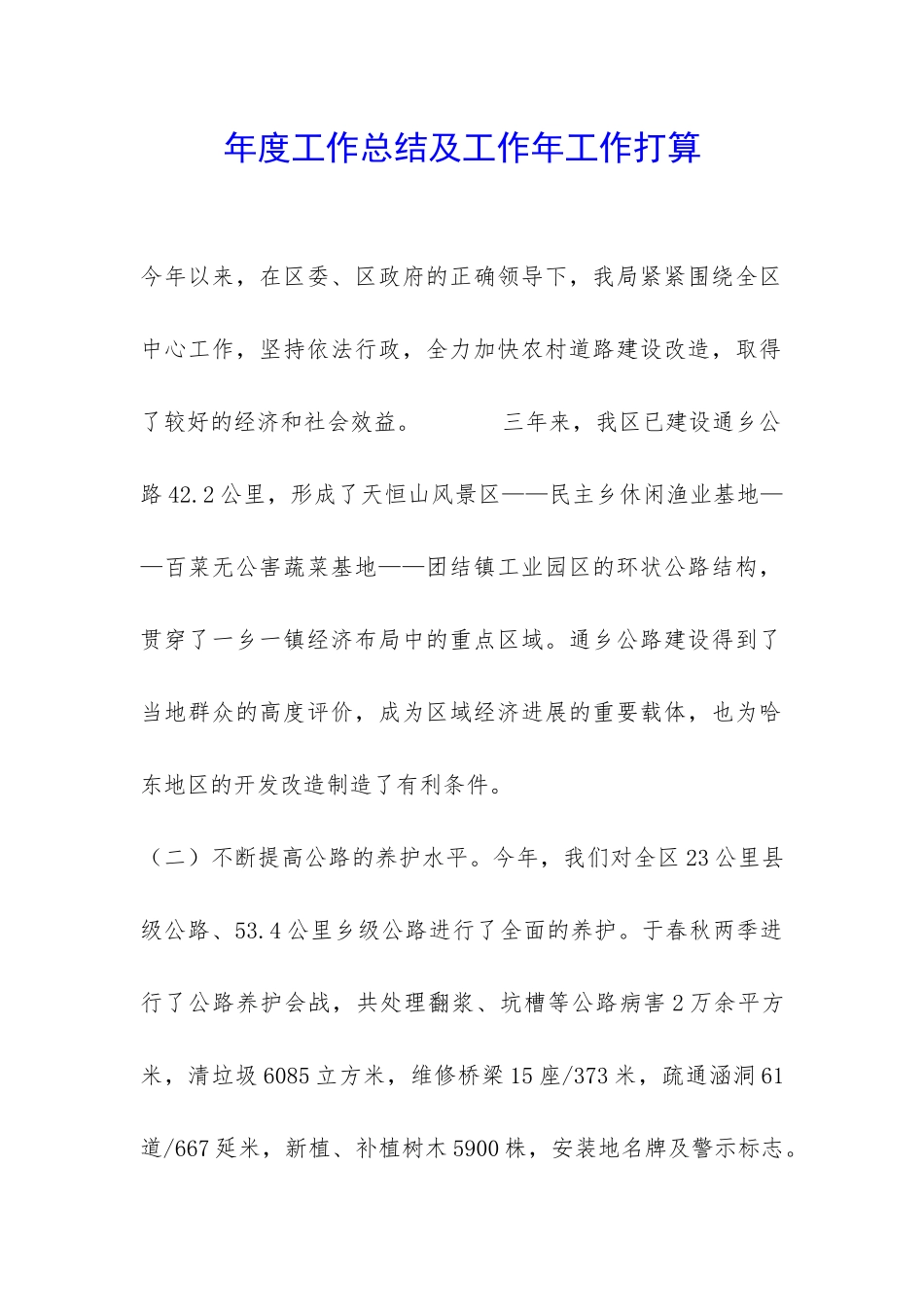 年度工作总结及工作年工作打算-_第1页