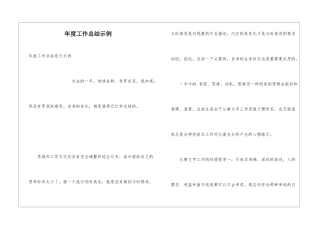 年度工作总结示例