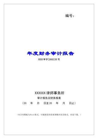 年度财务审计报告