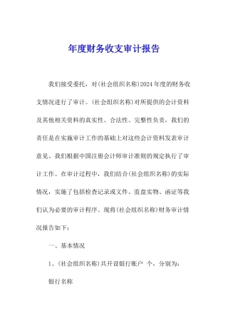 年度财务收支审计报告