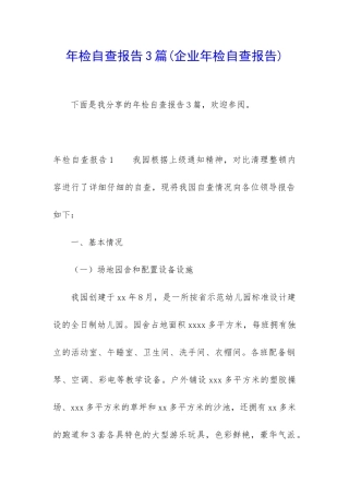 年检自查报告3篇