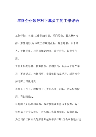 年终企业领导对下属员工的工作评语