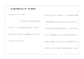 幼儿园小班班主任工作一年心得体会