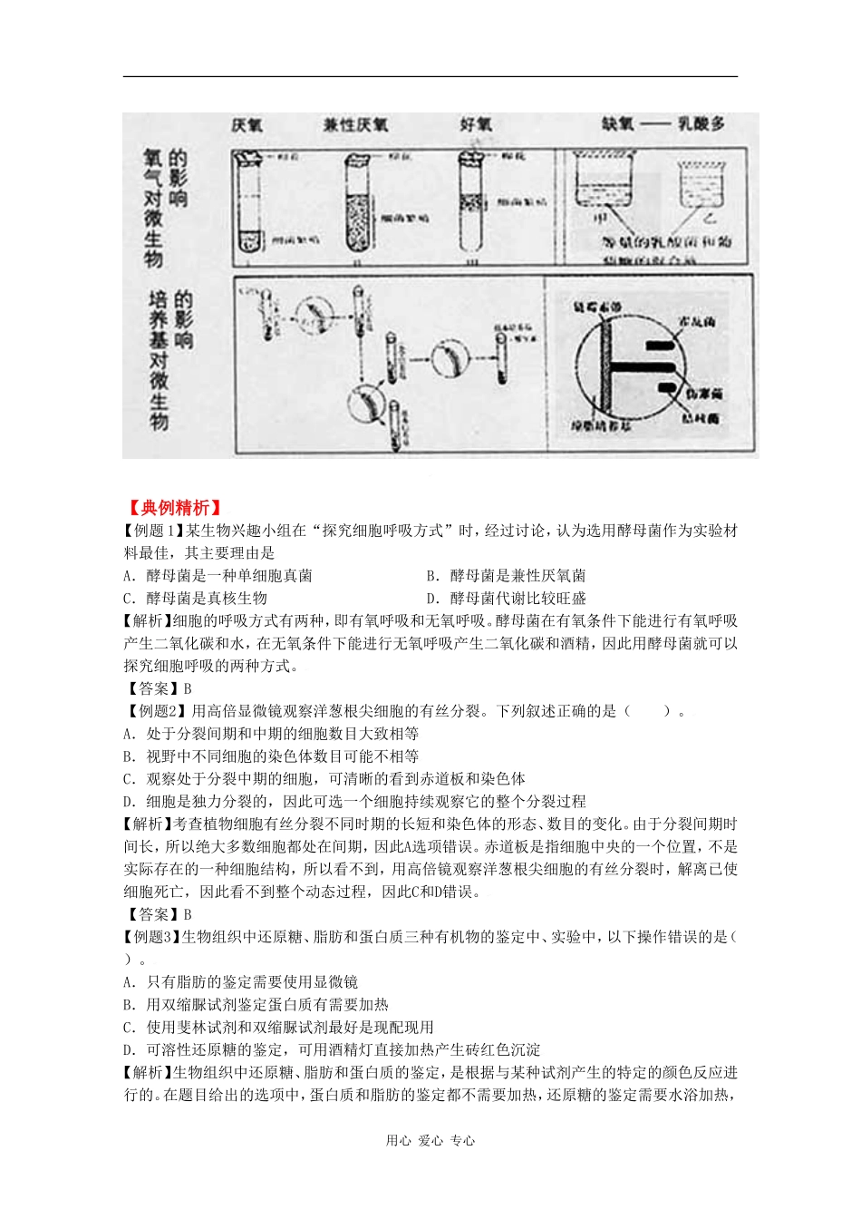 2010高三生物高考二轮复习学案（13）基础实验全国通用_第2页