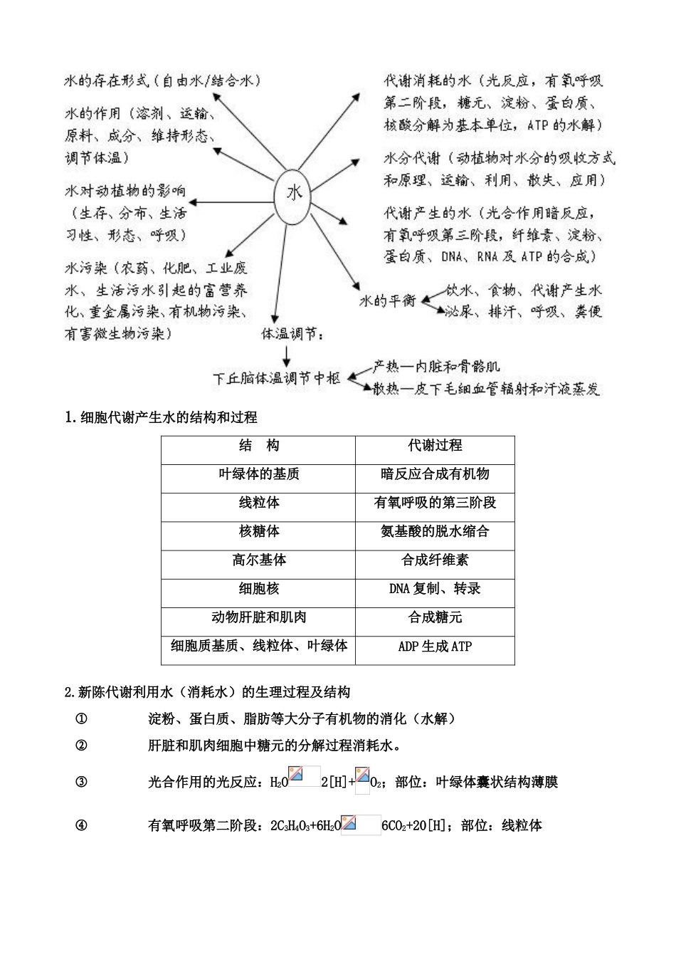 2011届高考生物 专题总复习一教案 新人教版_第3页