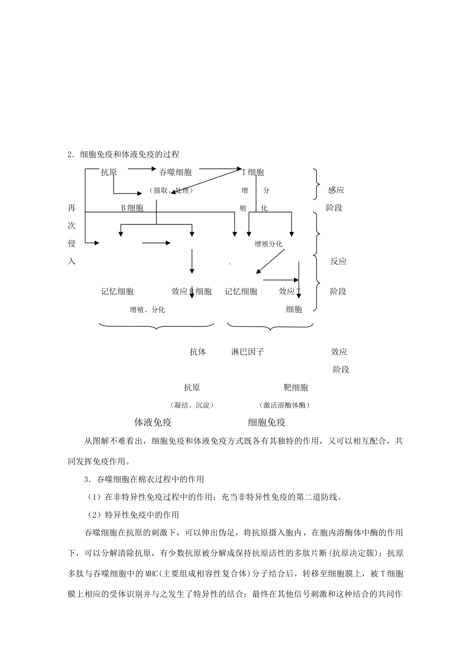 2011届高考生物第一轮复习讲练析教案13_第3页