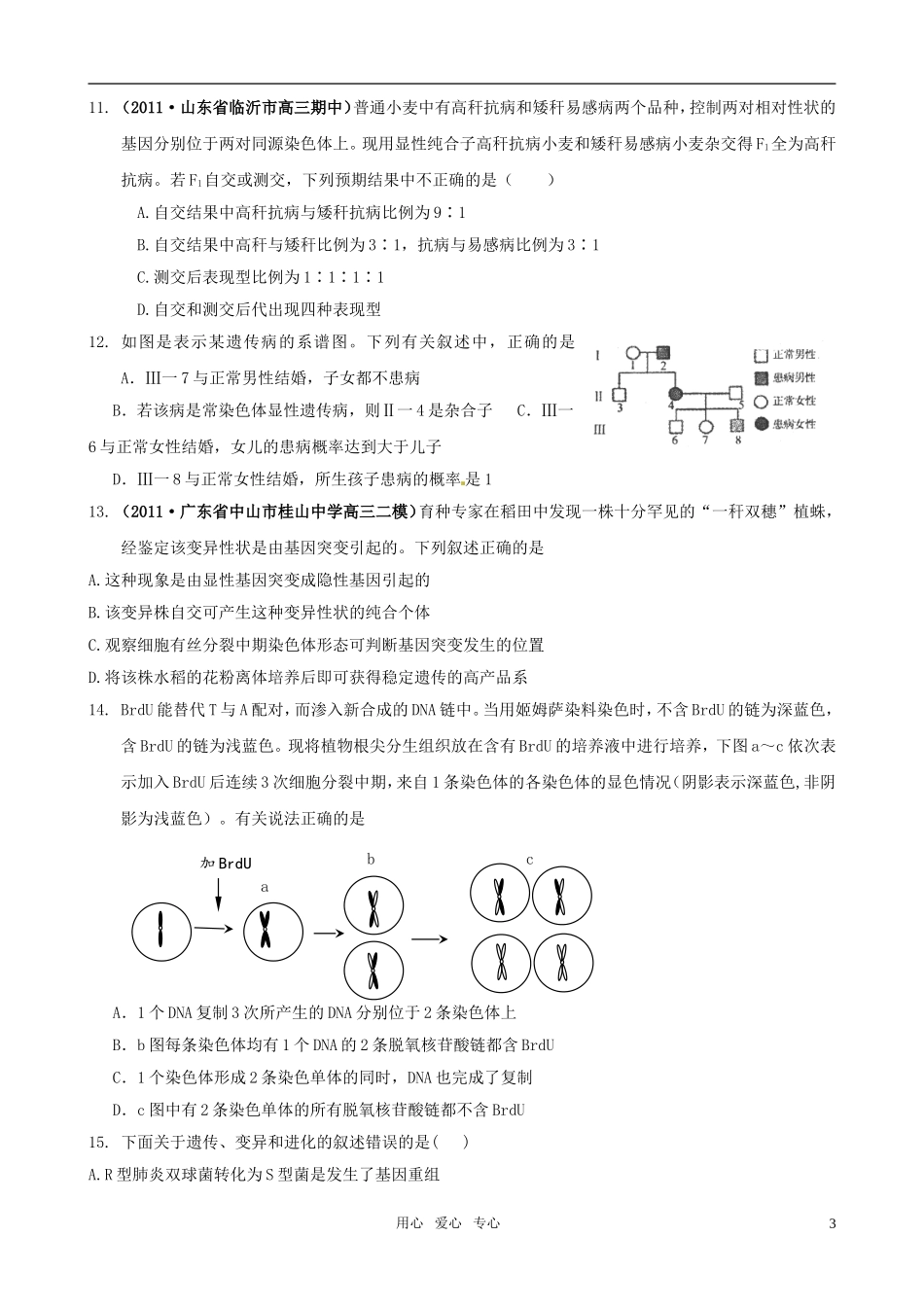 2011届高考生物二轮 专题复习高考综合演练（4）学案 新人教版_第3页